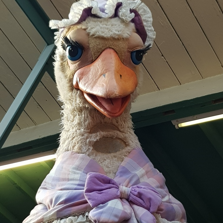 Mother Goose Pantomime Theatrical Costumes for Hire